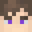 WinDustick
